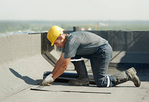 Best Insulation Repair Services  in Plafield, IN