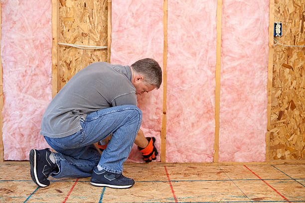 Best Insulation Removal Services  in Plafield, IN
