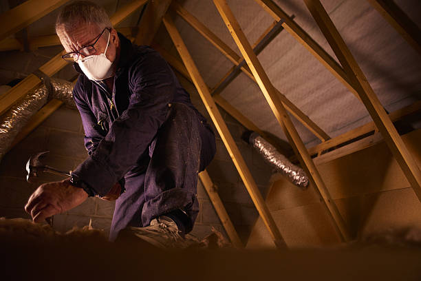 Best Affordable Insulation Services  in Plafield, IN