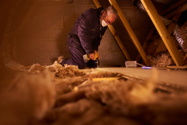 Best Insulation Contractors for Homes  in Plafield, IN